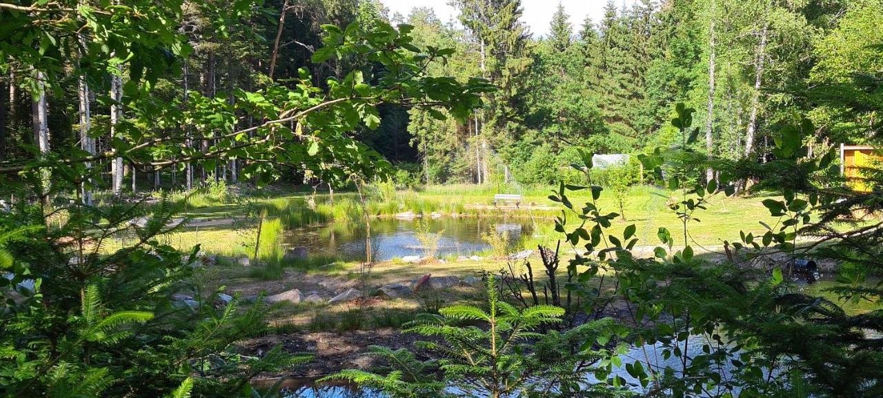 Gites Les Saules Et Les Charmes Saint-Remy  Exterior foto