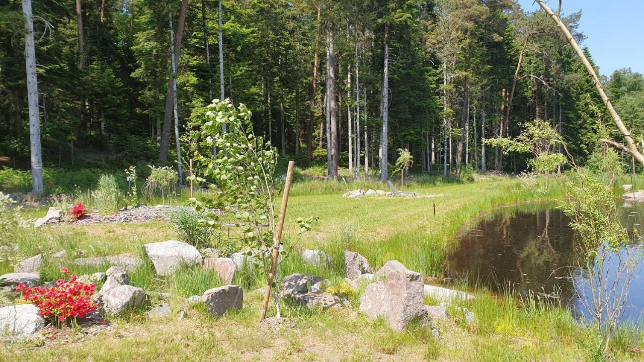 Gites Les Saules Et Les Charmes Saint-Remy  Exterior foto